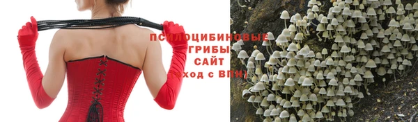 скорость mdpv Белокуриха