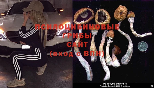 стафф Белоозёрский